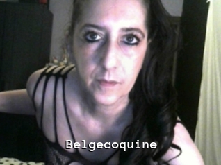 Belgecoquine
