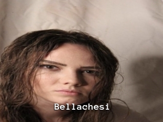 Bellachesi