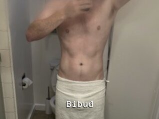 Bibud