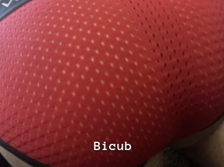 Bicub