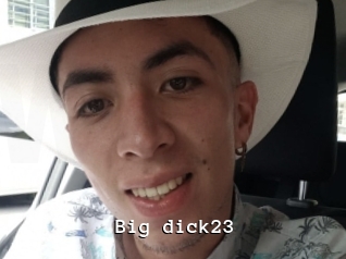 Big_dick23