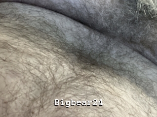 Bigbear24
