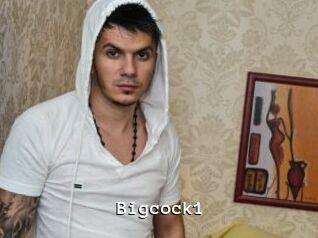 Bigcock1