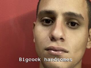 Bigcock_handsomes