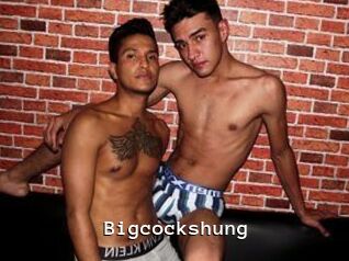 Bigcockshung