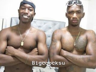 Bigcoocksu