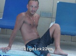 Bigdick22cm