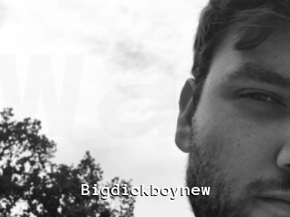 Bigdickboynew
