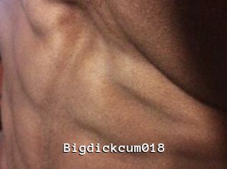 Bigdickcum018