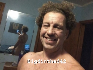 Bigdinthed42