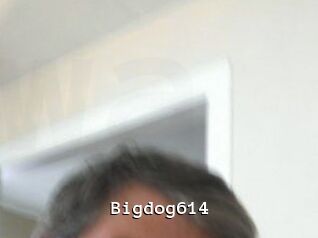 Bigdog614