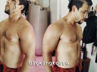 Bigkingkobra