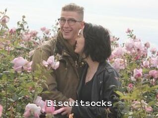 Biscuitsocks
