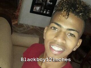 Blackboy12inches