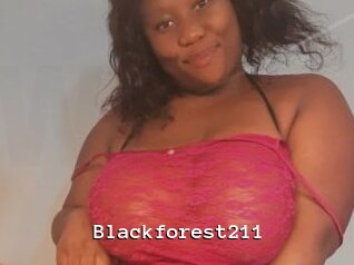 blackforest211 Webcamsex Amateur
