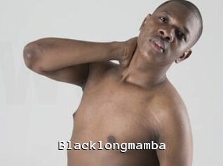 Blacklongmamba