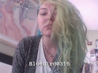 Bluebird0316
