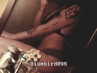 Bluebird096