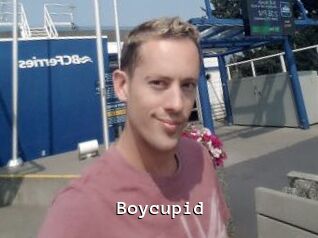 Boycupid