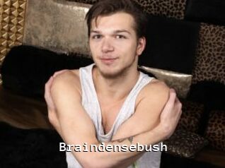 Braindensebush