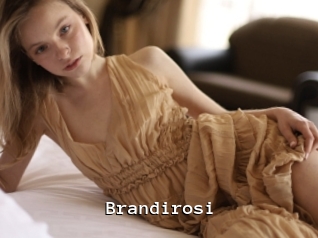 Brandirosi