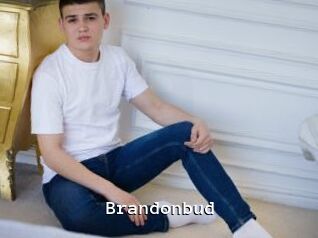 Brandonbud