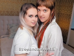 Breeandantonia