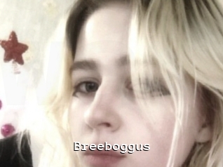 Breeboggus