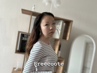 Breecoote