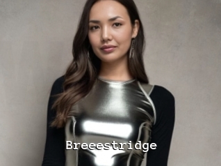 Breeestridge