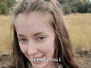 Breezysoul