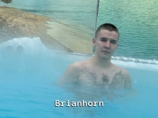 Brianhorn