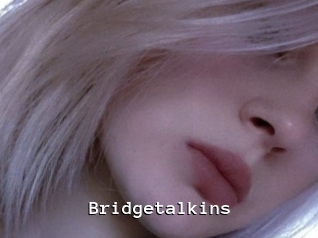 Bridgetalkins