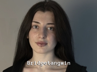 Bridgetangwin