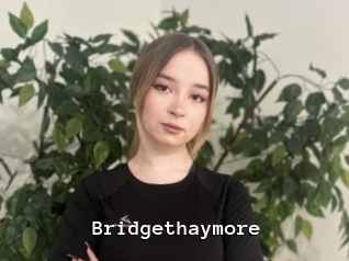 Bridgethaymore