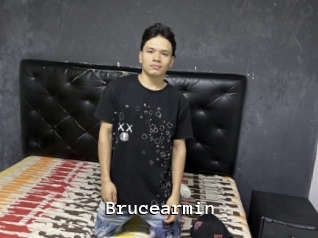 Brucearmin
