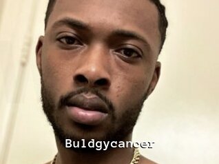 Buldgycancer