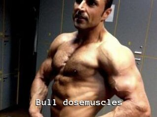 Bull_dosemuscles