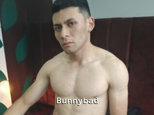 Bunnybad