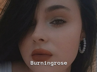 Burningrose