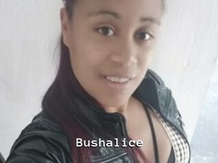 Bushalice