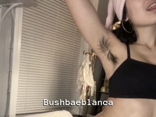 Bushbaeblanca