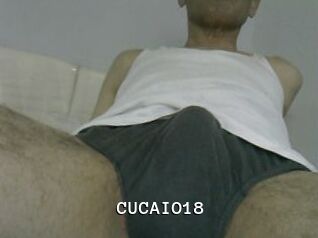 CUCAIO18