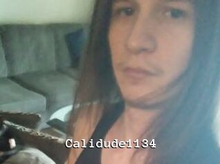 Calidude1134