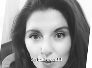 Cataleya88