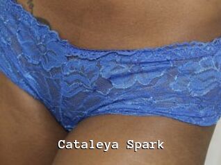 Cataleya_Spark