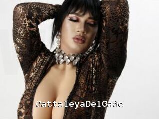 CattaleyaDelGado