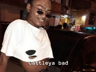 Cattleya_bad