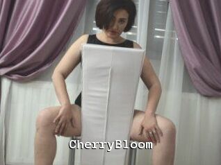 CherryBloom