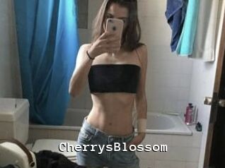 CherrysBlossom